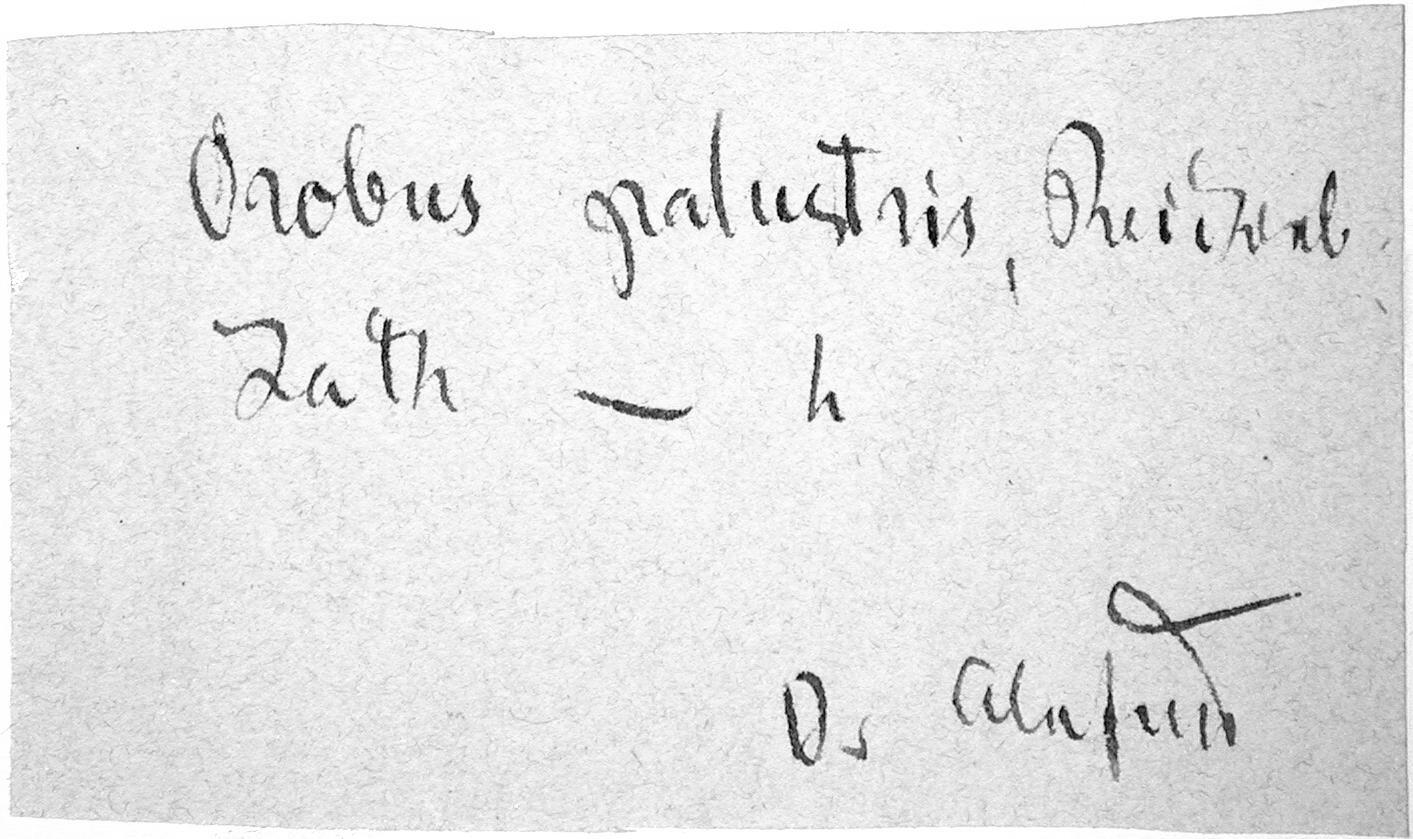 Handschrift Friedrich Alefeld, Beleg aus FR