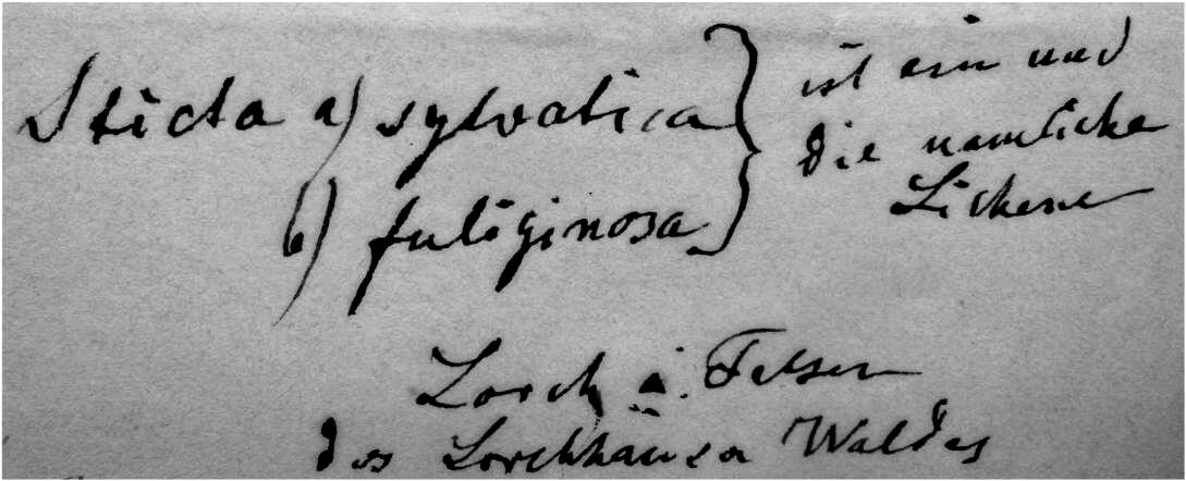 Handschrift Johann Daniel Wilhelm Bayrhoffer, Beleg in FR