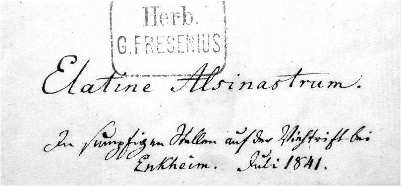 Handschrift Georg Fresenius, Beleg aus FR