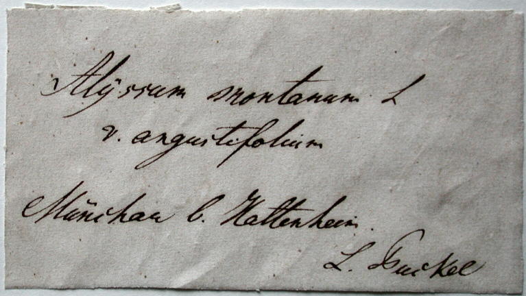 Handschrift Leopold Fuckel, Beleg aus WIES