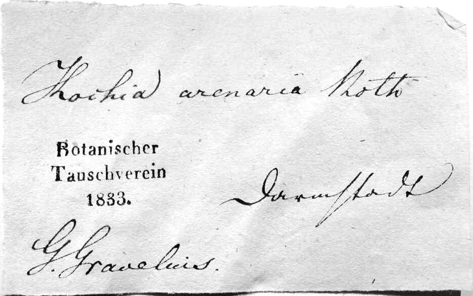 Handschrift Georg Gravelius, Beleg aus WIES