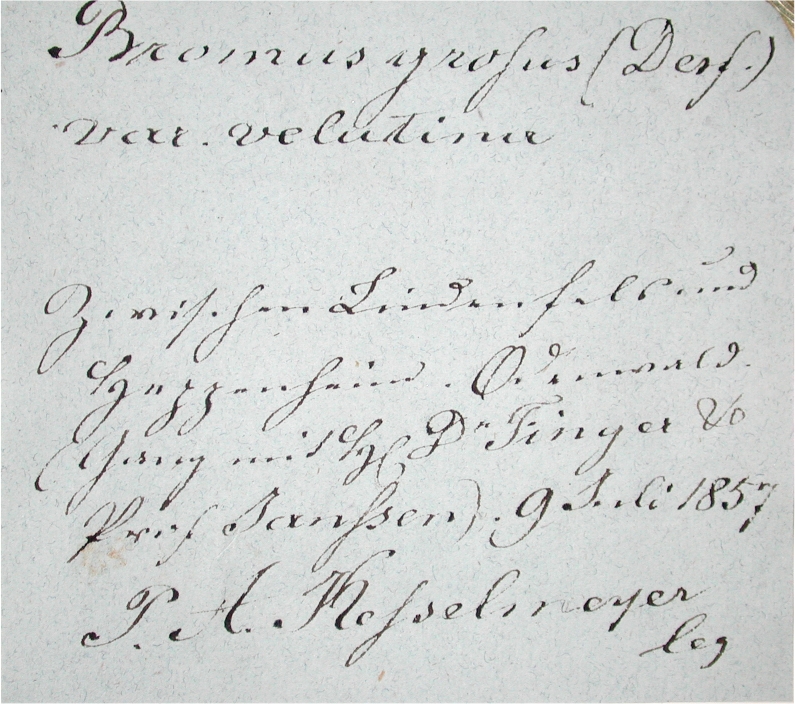 Handschrift Paul August Kesselmeyer, Beleg aus FR