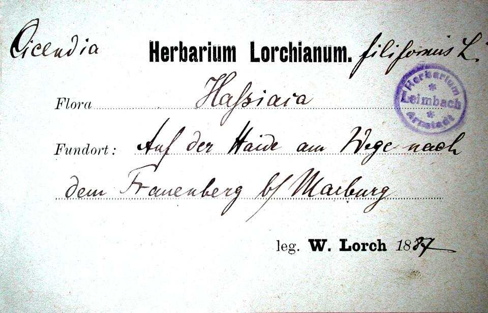 Handschrift Wilhelm Lorch, Beleg in JE