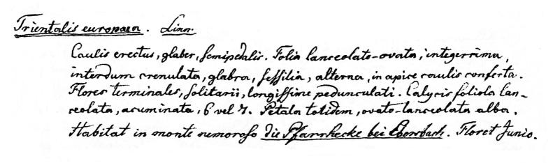 Handschrift Henrich August Meinhard