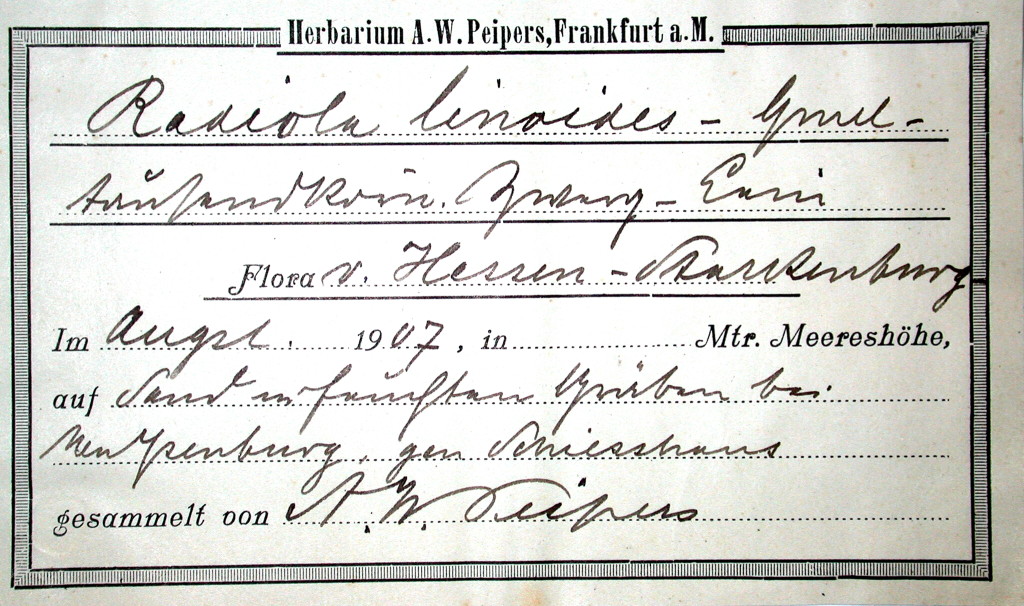 Handschrift August Wilhelm Peipers, Beleg aus FR