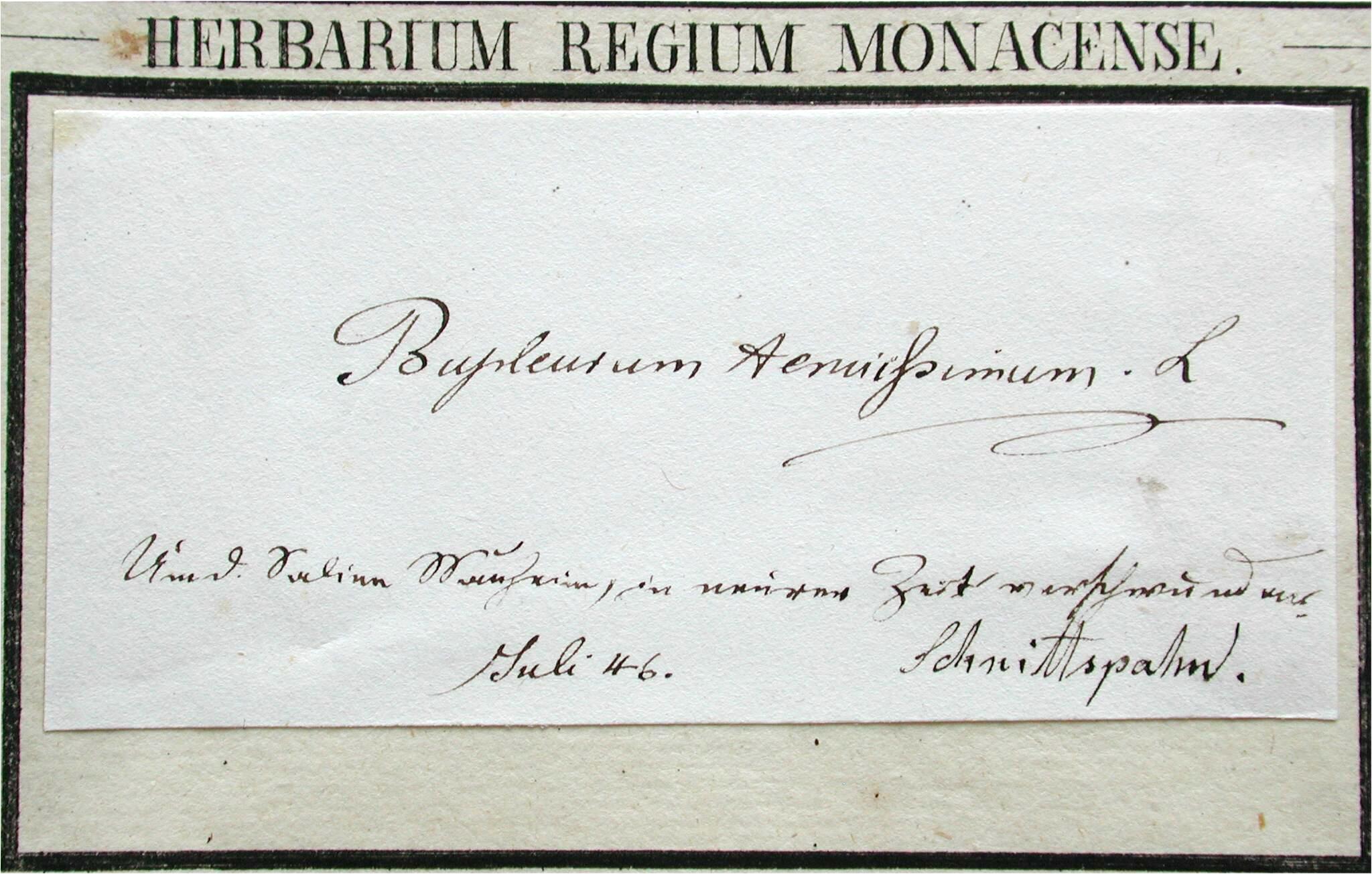 Handschrift Georg Friedrich Schnittspahn, Beleg aus M