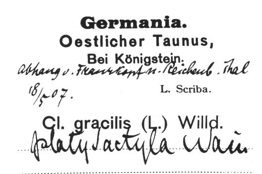 Handschrift Ludwig Scriba