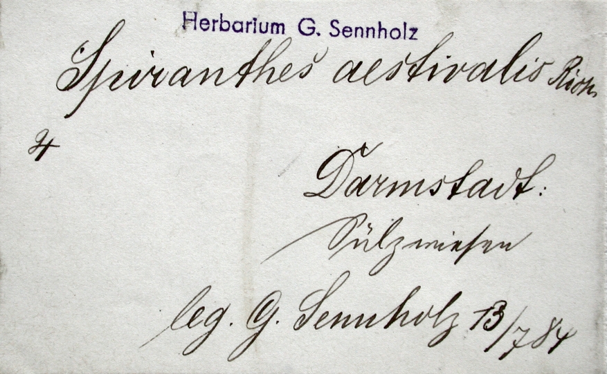 Handschrift Gustav Sennholz, Beleg aus MB