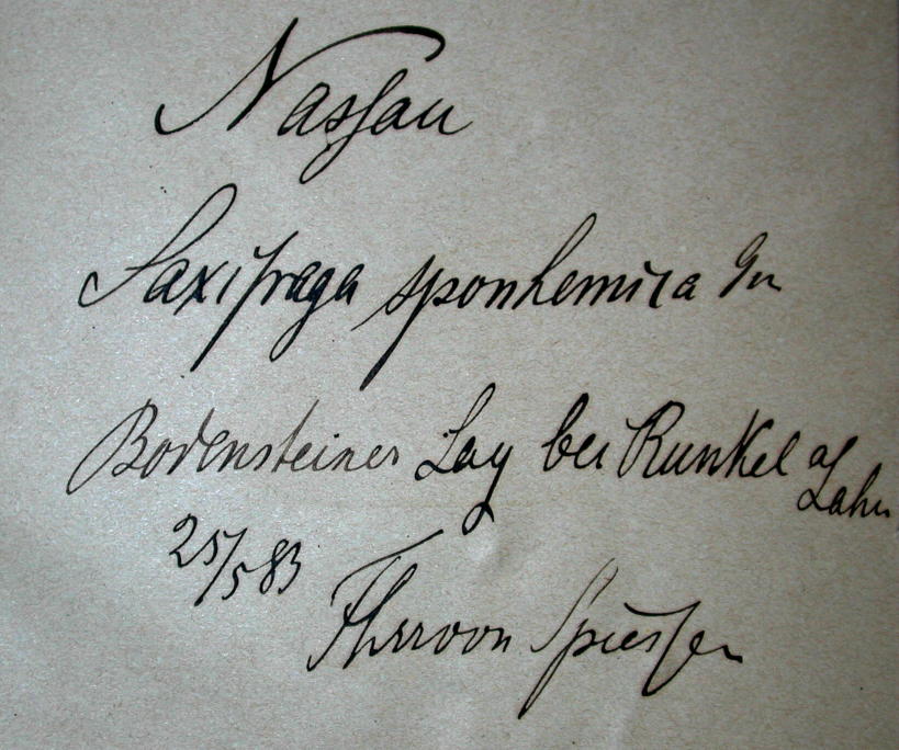 Handschrift August von Spiessen, Beleg aus JE