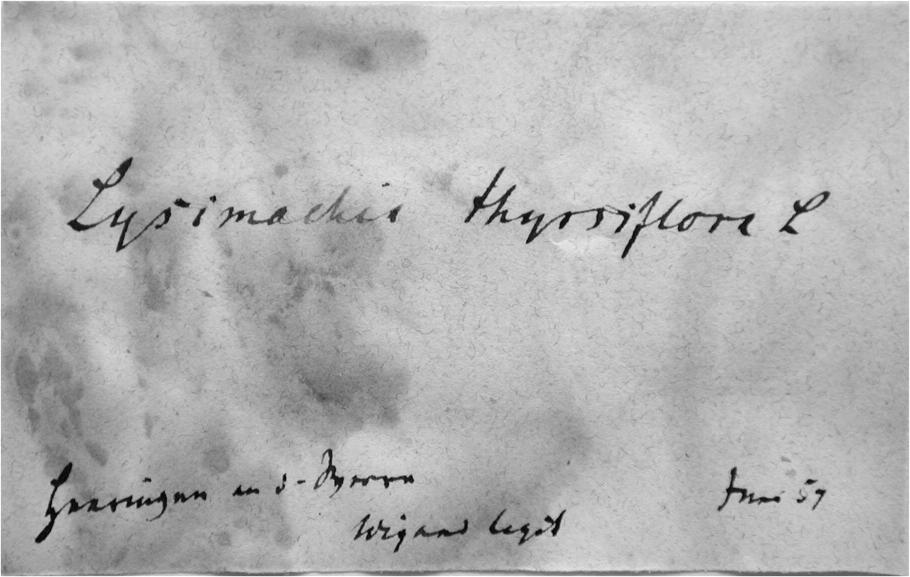 Handschrift Julius Wilhelm Albert Wigand, Beleg aus MB