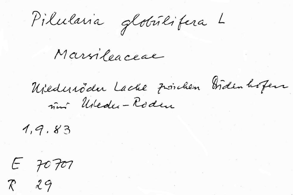 Handschrift Walter Wittenberger